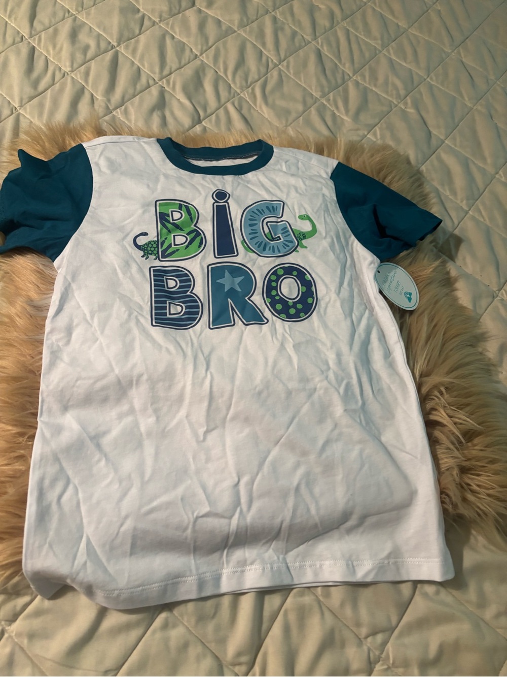 Big Bro White & Teal Short Sleeve Kids Tee